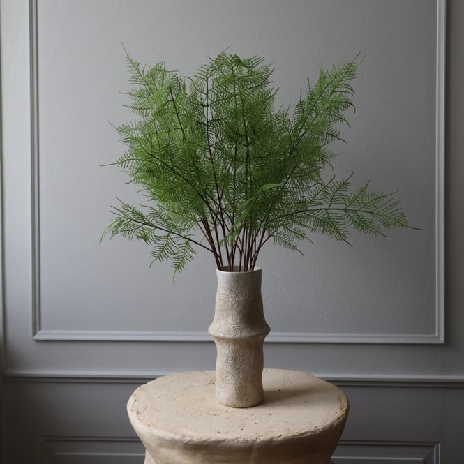 Hovedbilde Botané Studios Fern leaves 