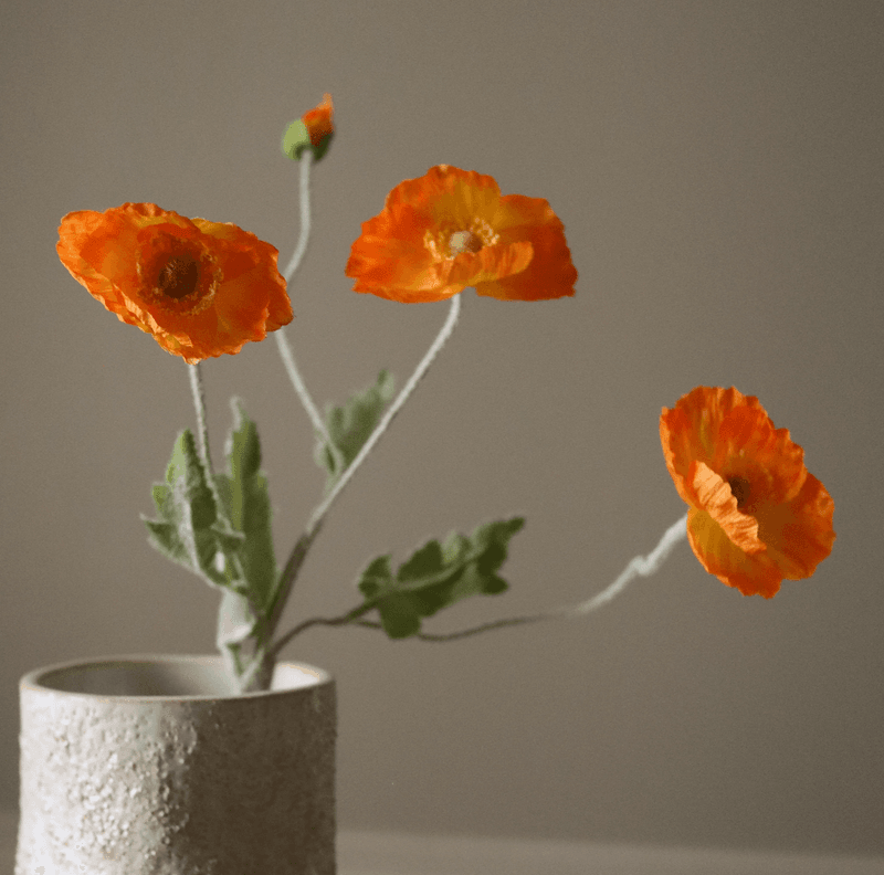Botané Studios Poppy Orange