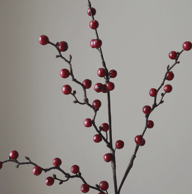 Hovedbilde Botané Studios Dark Red Winterberry Branch