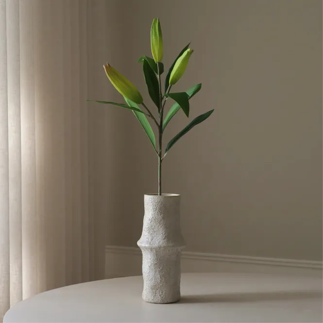 Hovedbilde Botané Studio Lily bud uåpnet lilje 