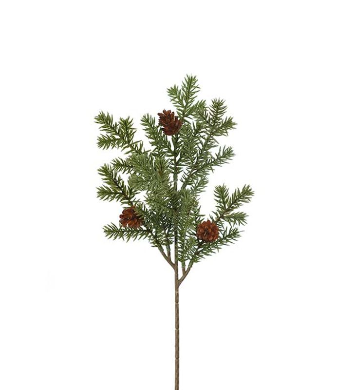 Mr. Plant Grankvist m/kotter
