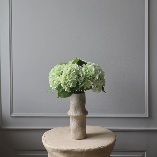 Hovedbilde Botané Studios Hortensia lys grønn
